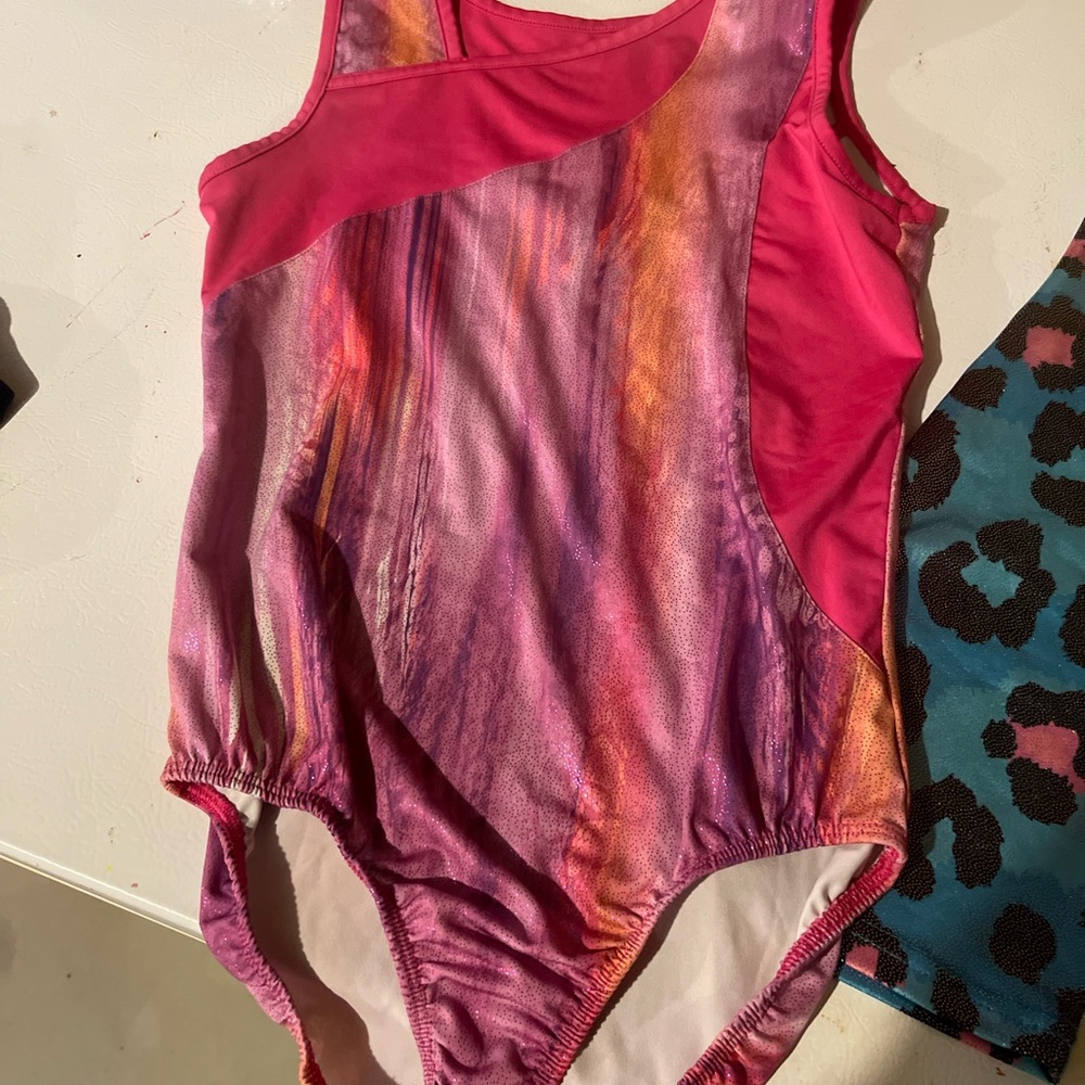 Danskin Pink and White leotard